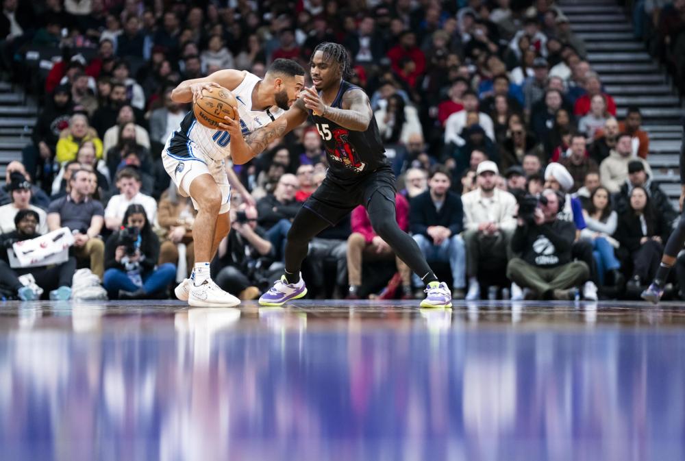 捉到了他们 捉到了他们